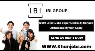 Ibi Group Careers