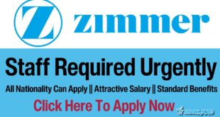 Zimmer Holdings Careers