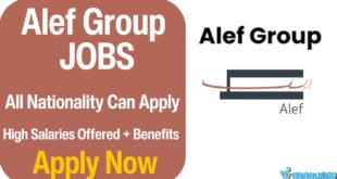 Alef Group Careers