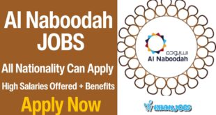 Al Naboodah Careers
